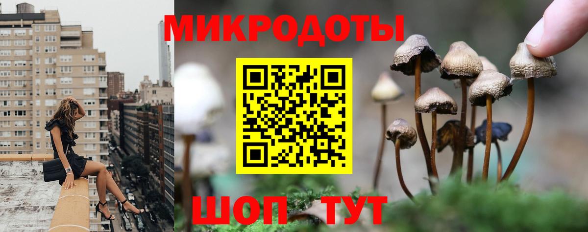 Псилоцибиновые грибы мицелий Мегион